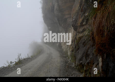 Death Road in fog, Camino de la Muerte, Yungas North Road between La Paz and Coroico, Bolivia Stock Photo