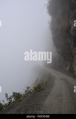 Death Road in fog, Camino de la Muerte, Yungas North Road between La Paz and Coroico, Bolivia Stock Photo