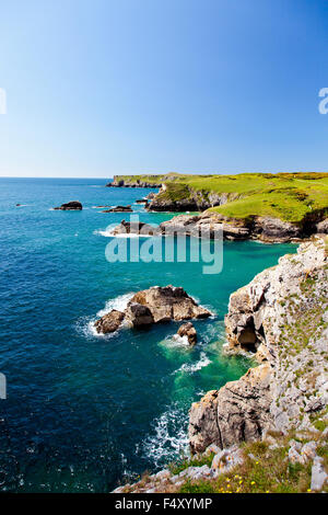 Looking towards St Govans Head from Broadhaven South on the Pembrokeshire Coast footpath, Wales, UK Stock Photo
