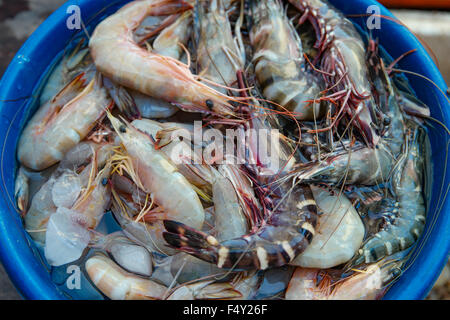 Fresh tiger prawn selling at weekend local market.  Selective focus with shallow depth of field. Stock Photo