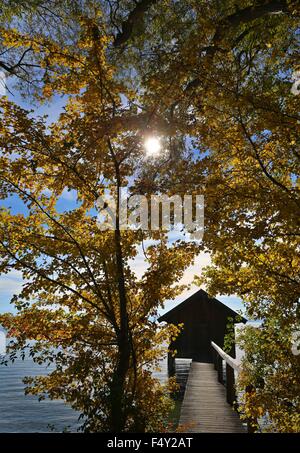Stegen, Germany. 24th Oct, 2015. Framed by autumn trees, a boathouse sits in the sunshine by Lake Ammer near Stegen, Germany, 24 October 2015. Photo: KARL-JOSEF HILDENBRAND/dpa/Alamy Live News Stock Photo
