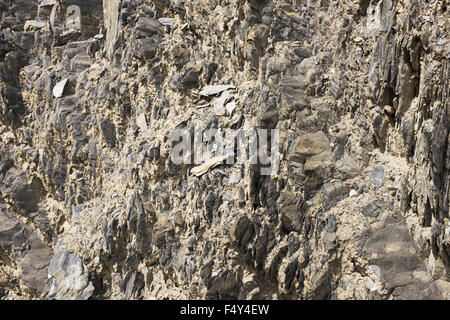 A rock face in the Rocky Mountains of Canada near Golden British Columbia. Stock Photo