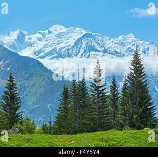 Mont Blanc mountain massif (Chamonix valley, France, view from Plaine Joux outskirts). Stock Photo