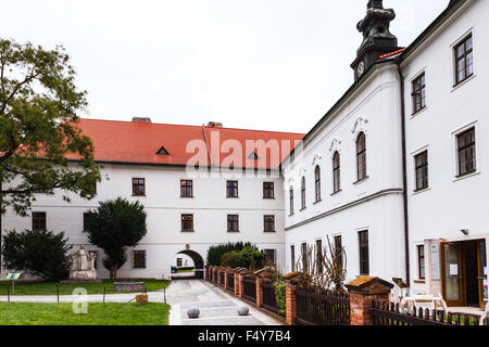 BRNO, CZECH - SEPTEMBER 25, 2015: Mendel Museum in Augustinian Abbey of St Thomas, Brno. The geneticist and Abbot Gregor Mendel Stock Photo