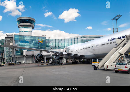 Frankfurt International Airport with Lufthansa Boeing 747 plane at the gate. Stock Photo