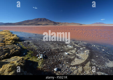 Laguna Colorada with red water caused by high algae content, in Uyuni, Lipez, Bolivia Stock Photo