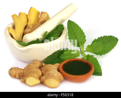 Medicinal herbs with mortar and pestle over white background Stock Photo
