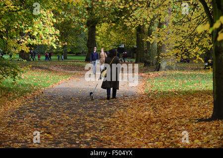 London, UK. 25th October 2015. Autumn colours in St James's and Green Park on the day the clocks go back one hour. © Matthew Cha Stock Photo