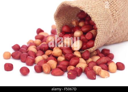 Fresh Peanuts in sack over white background Stock Photo