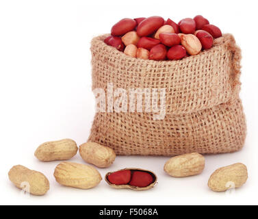 Fresh Peanuts in sack over white background Stock Photo