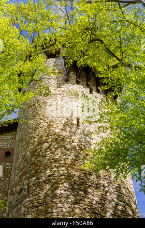 Reichenstein Castle (Burg Reichenstein), Arlesheim, Canton Basel-Landschaft, Switzerland Stock Photo