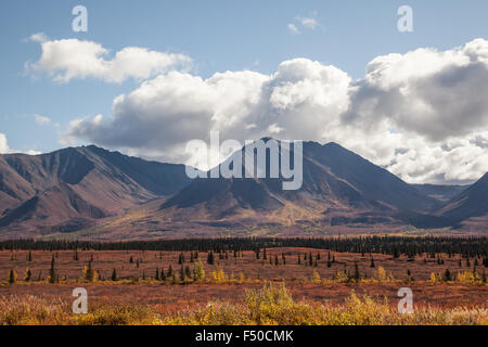 Scenic views from Denali State Park on George Parks Highway, Alaska Stock Photo