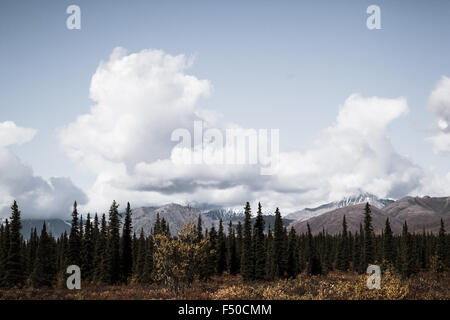 Scenic views from Denali State Park on George Parks Highway, Alaska Stock Photo