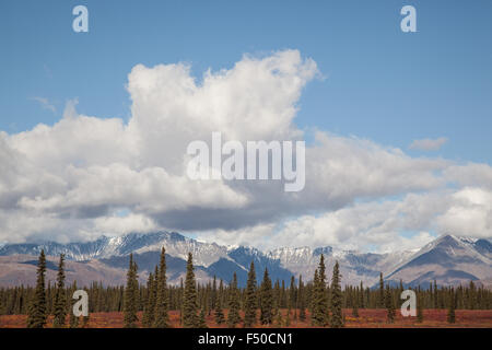 Scenic views from Denali State Park on George Parks Highway, Alaska Stock Photo