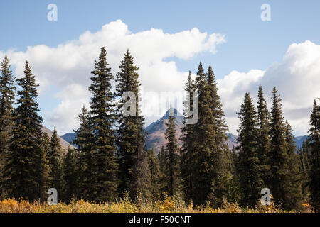 Scenic views from Denali State Park on George Parks Highway, Alaska Stock Photo