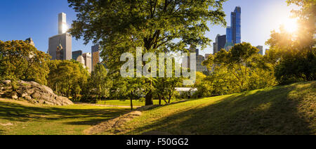 Afternoon panorama view of Central Park in Summer with Manhattan Skyscrapers, New York City