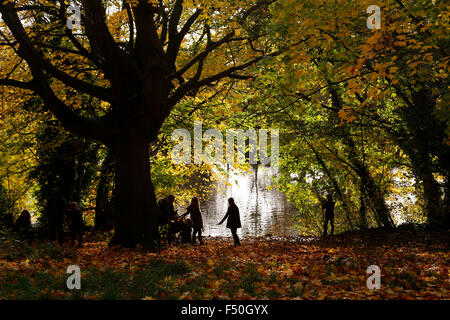 Hampstead Heath, London, UK. 25th October, 2015. Weather: Autumn colours on Hampstead Heath in London on Sunday 25 October 2015 Credit:  Glyn Thomas Photography/Alamy Live News Stock Photo