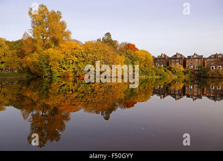 Hampstead Heath, London, UK. 25th October, 2015. Weather: Autumn colours on Hampstead Heath in London on Sunday 25 October 2015 Credit:  Glyn Thomas Photography/Ģ����ý Live News Stock Photo