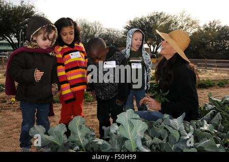 Students learn about farming at Tucson Village Farm, Tucson, Arizona, USA. Stock Photo