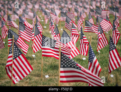Thousands of American flags on a lawn to remember 9/11 and the soldiers and veterans of the US War on Terror Stock Photo