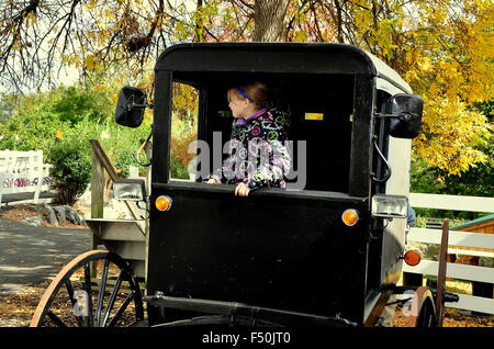 Lancaster, Pennsylvania:   Little girl sits in a traditional Amish buggy at the Amish Farm and House Museum Stock Photo