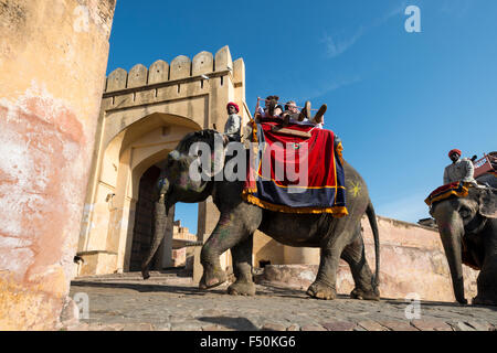 Elephants are taking tourists on a ride up to the palaces of Amber Fort Stock Photo