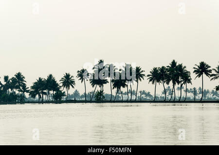 A typical landscape with water canal and palmtrees on small peninsulas in Keralas backwaters Stock Photo