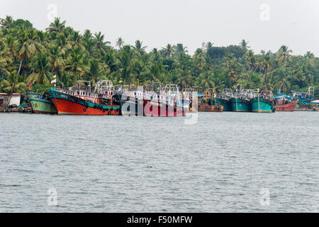 A typical landscape with water canal, palmtrees and fishing boats in Keralas backwaters Stock Photo