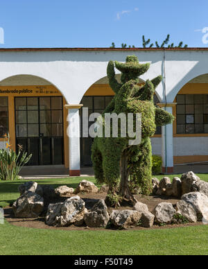 Gardening takes an art form in the little park in front of a city-hall building in Santa Maria del Tule, Oaxaca, Mexico. Stock Photo