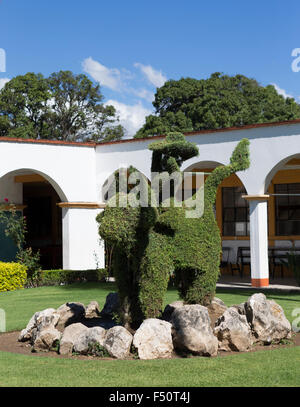 Gardening takes an art form in the little park in front of a city-hall building in Santa Maria del Tule, Oaxaca, Mexico. Stock Photo