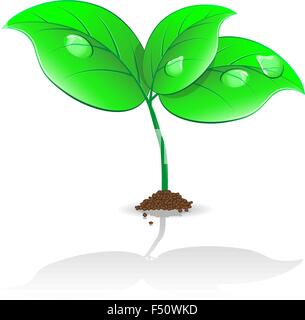 Recycle symbol with green leaf vein background Stock Vector Image & Art ...