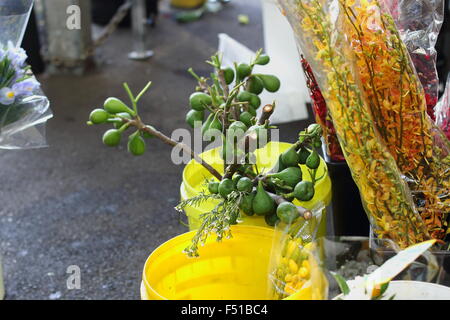 Young fig fruits for sale at a local market Stock Photo