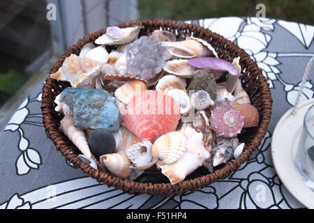 A bowl full of mixed seashells, on a table Stock Photo