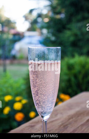 A glass full of sparkling rose wine, in a garden Stock Photo