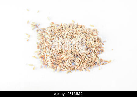 A lot of fennel seeds, isolated on white background Stock Photo