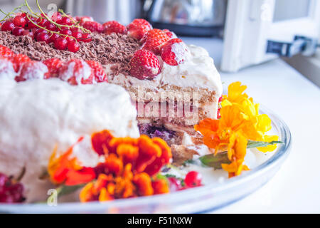 Colorful pressed dried edible flowers for cake decoration Stock