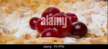 cranberry on the cupcake Stock Photo