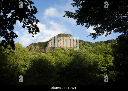 Sandstone cliffs at Sutton Bank, also known as Roulston Scar, is a hill in the Hambleton District of the North York Moors National Park, North Yorkshire in England, UK. It is a high point on the Hambleton Hills with extensive views over the Vale of York and the Vale of Mowbray. Stock Photo