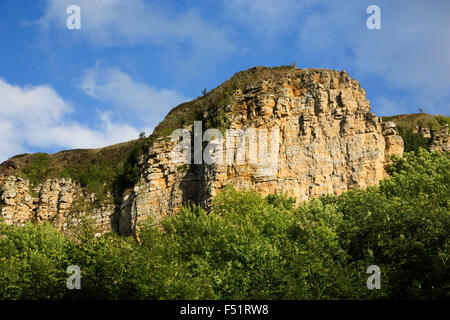 Sandstone cliffs at Sutton Bank, also known as Roulston Scar, is a hill in the Hambleton District of the North York Moors National Park, North Yorkshire in England, UK. It is a high point on the Hambleton Hills with extensive views over the Vale of York and the Vale of Mowbray. Stock Photo