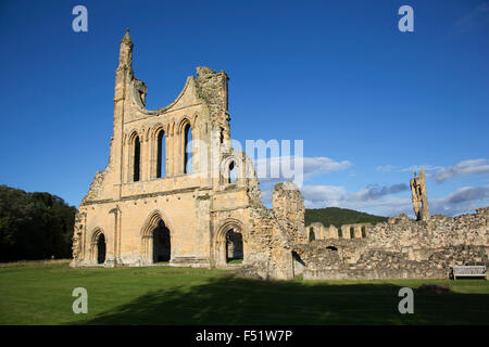 Byland Abbey, North Yorkshire, England, UK. Byland Abbey is a ruined abbey and a small village in the Ryedale district of North Yorkshire, England, in the North York Moors National Park. Impressive remains can still be seen, in the care of English Heritage, including the lower half of a huge rose window. It was founded as a Savigniac abbey in January 1135 and was absorbed by the Cistercian order in 1147. It wasn't an easy start for the community who had had to move five times before settling at New Byland, near Coxwold in 1177. Stock Photo