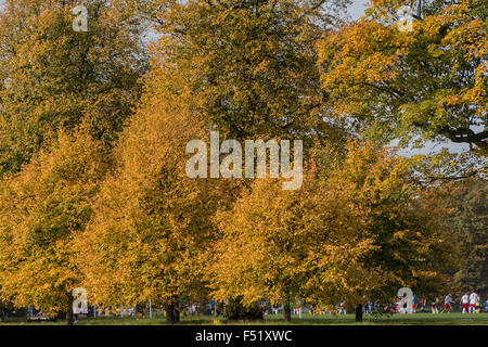 London, UK. 25th October, 2015. Sunny crisp weather brings out the Autumn colours and people getting exercise on Clapham Common. Credit:  Guy Bell/Alamy Live News Stock Photo