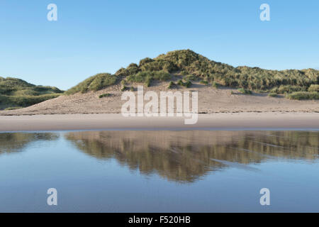 Sand dunes and blue sky reflected in low tide water on the beach. Scremerston, Berwick Upon Tweed, Northumberland, England. Stock Photo