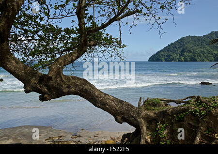 Trinidad, Maracas Playa, coast, Stock Photo