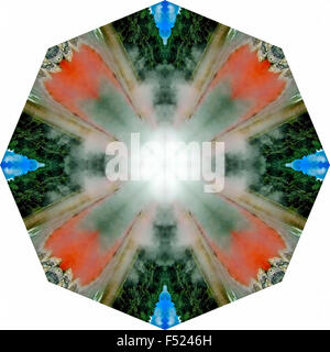 A kaleidoscopic image Stock Photo