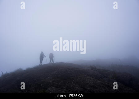 hikers on trail in the mist mountain, Minas Gerais, Serra da Matiqueira, Marins to Itaguaré Mountain Stock Photo