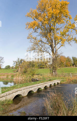 Autumn on the River Windrush near the Cotswold village of Sherbourne, Gloucestershire, England, UK Stock Photo