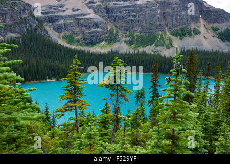 Bright Blue Lake O'Hara, Yoho National Park, Canadian Rockies Stock Photo