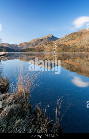Llyn Gwynant lake with Yr Aran mountain reflected in still water Nantgwynant Snowdonia National Park Gwynedd North Wales UK Stock Photo