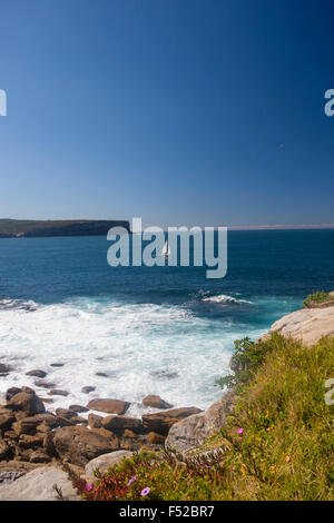 View from South Head across the entrance to Sydney Harbour to North Head with lone yacht Sydney NSW Australia Stock Photo