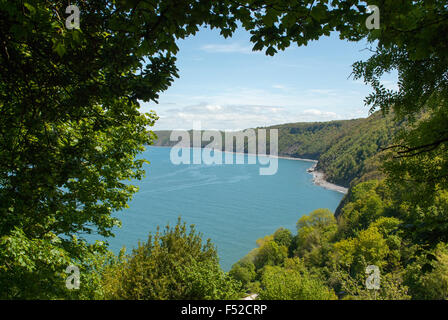 View of Sea through a frame of trees Stock Photo